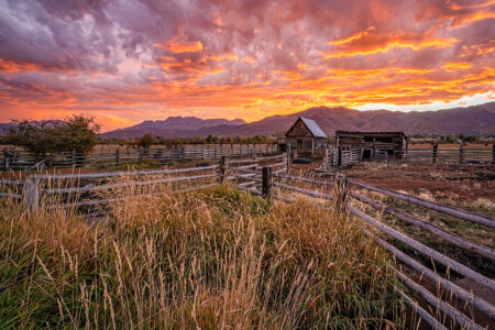 pasture at sunset